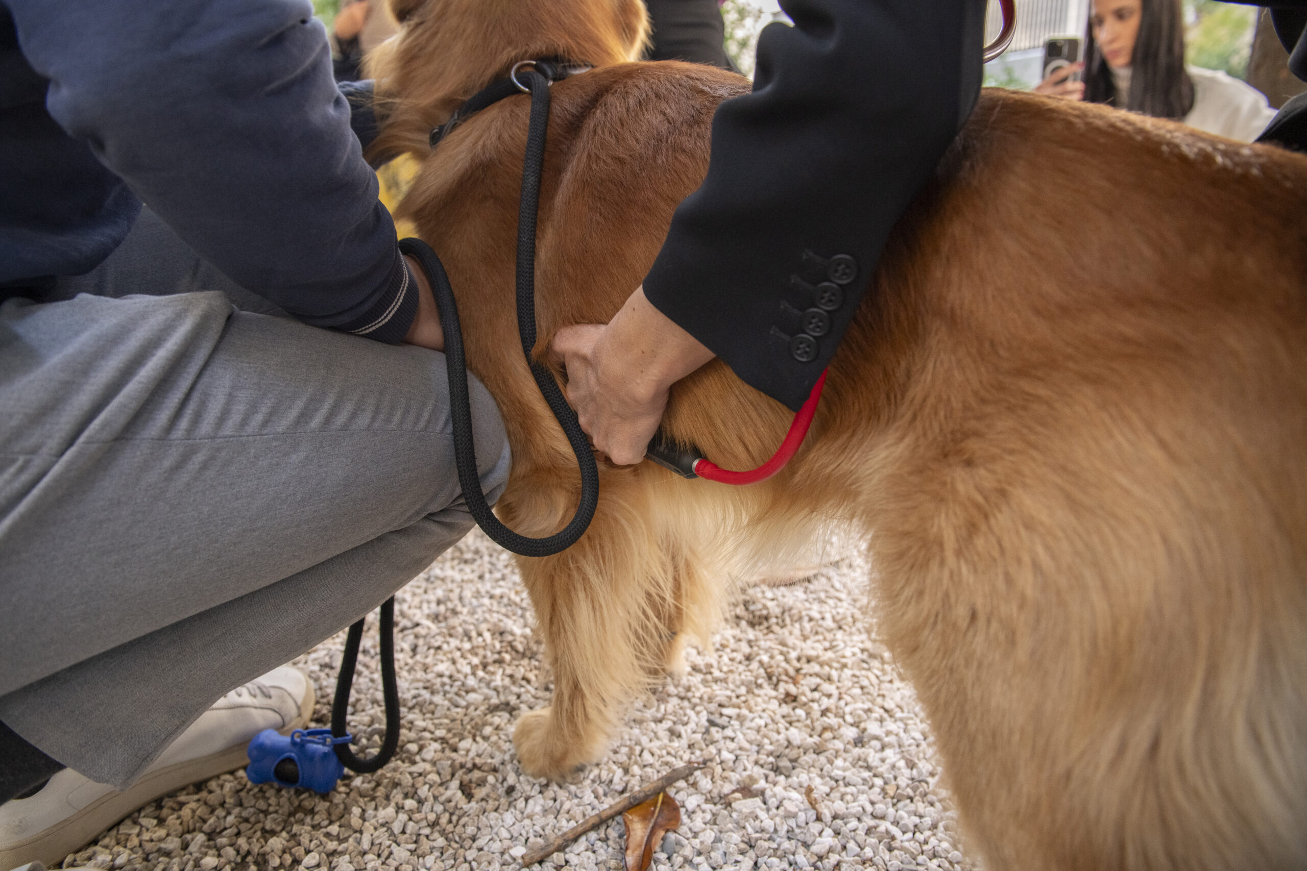 Eko Vet+ I CANINEBEAT AI (foto ufficio stampa)